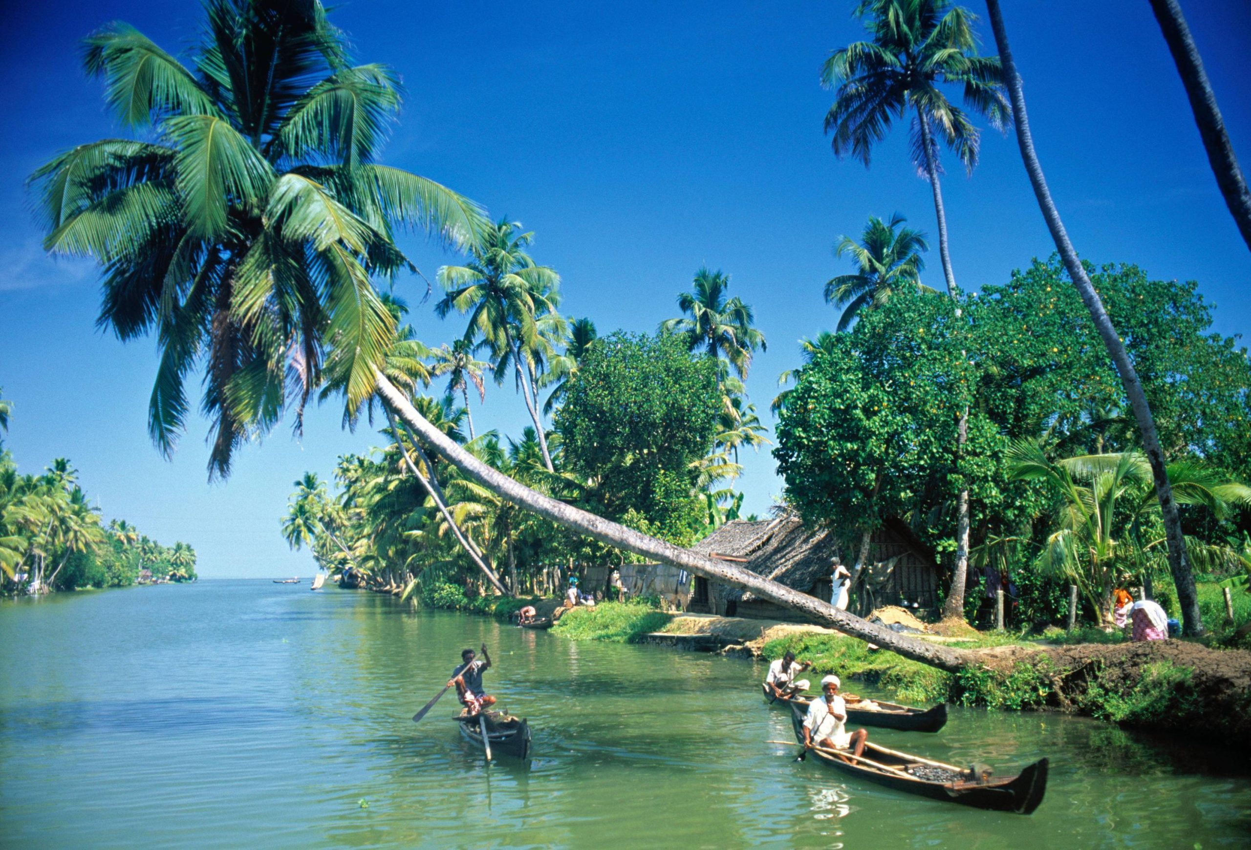 kerala tour packages